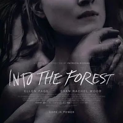 森林深处 Into the Forest