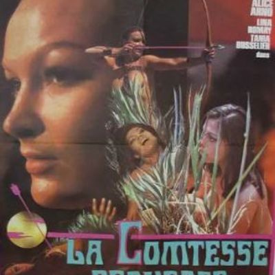堕落的伯爵夫人 La Comtesse perverse (1974)