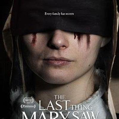 最后一眼 The Last Thing Mary Saw