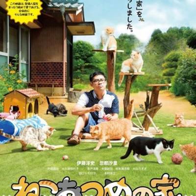 猫咪后院之家