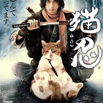 猫忍