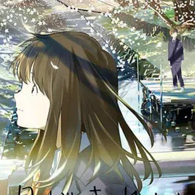 月色真美