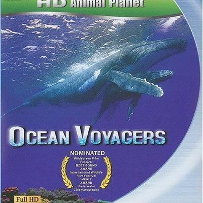 动物星球系列：鲸奇之旅