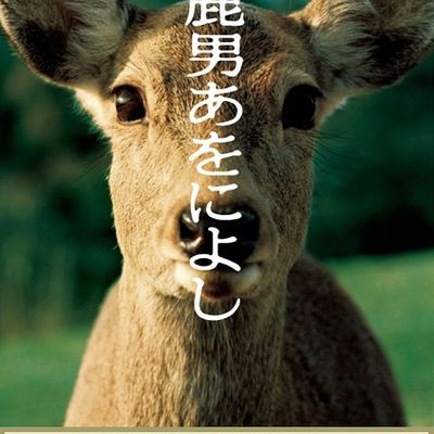 鹿男与美丽的奈良