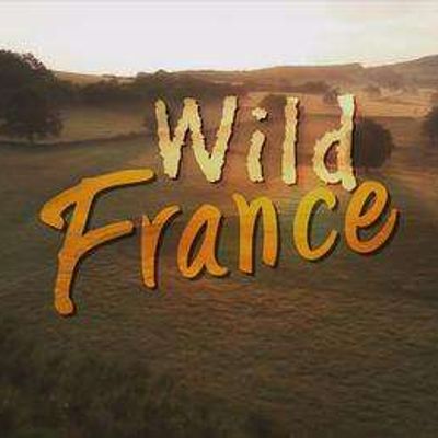 野性法国 Wild France with Ray Mears