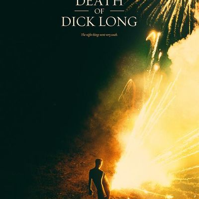 迪克·朗之死 The Death of Dick Long (2019)