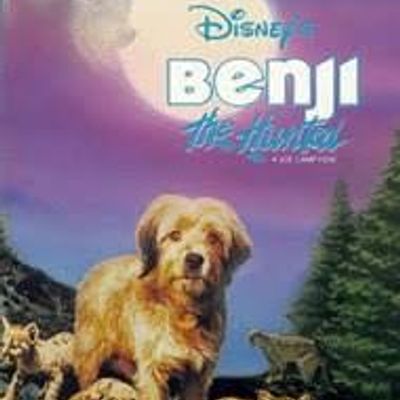 丛林赤子心 Benji the Hunted