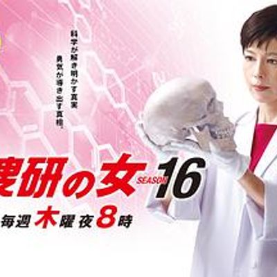科搜研之女第十六季