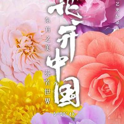 花开中国