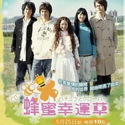 蜂蜜幸运草