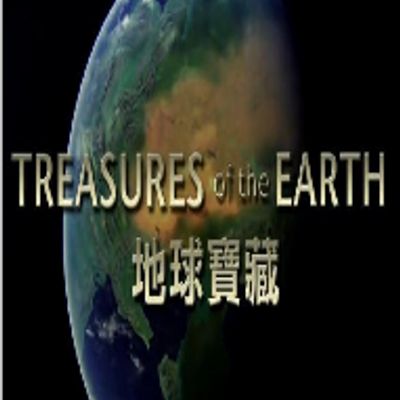 五哈和他们的朋友 会员版