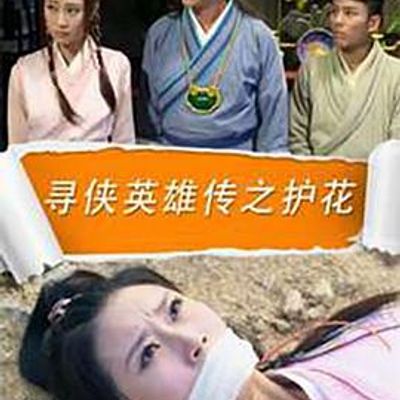 寻侠英雄传之护花