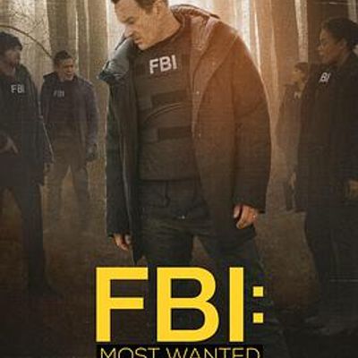 联邦调查局：通缉要犯第二季