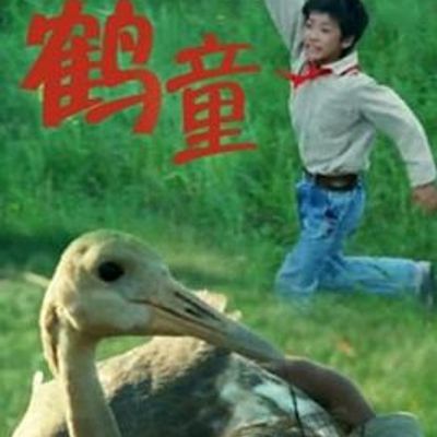 鹤童