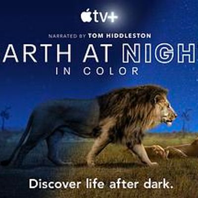 夜色中的地球