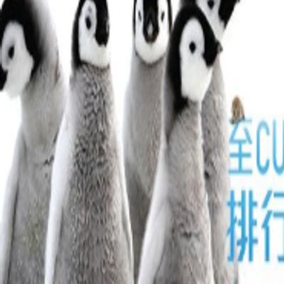 至Cute动物排行榜