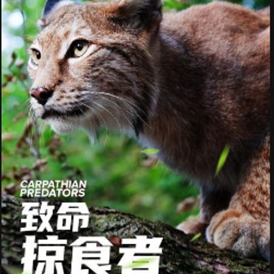 致命掠食者