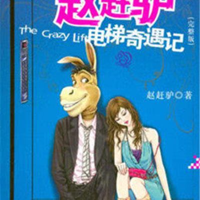 赵赶驴电梯奇遇记