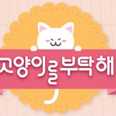 拜托了猫咪