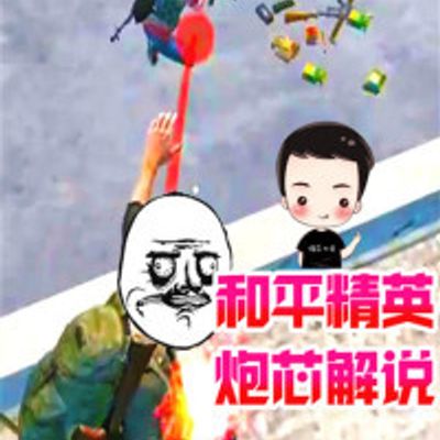 和平精英 炮芯解说