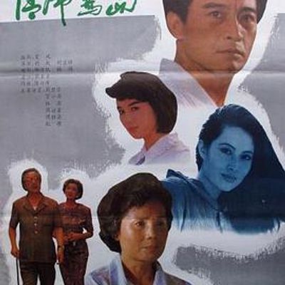 情归鹭岛
