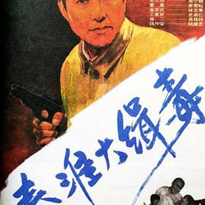 秦淮大缉毒