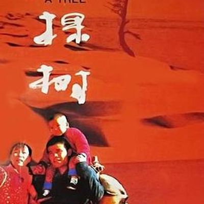 一棵树