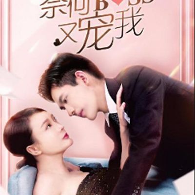 奈何boss又宠我剧版
