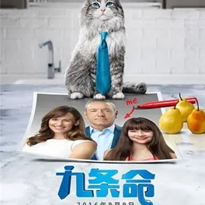 说电影《九条命》