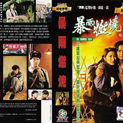 暴雨燃烧国语