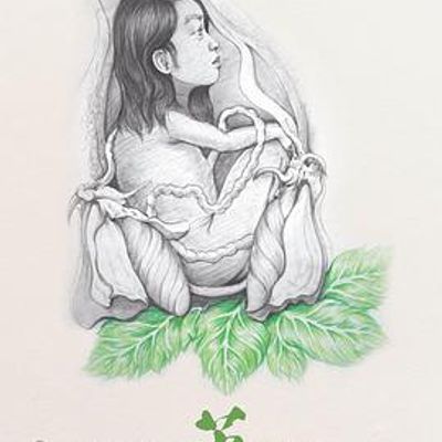 茧2017