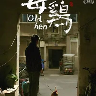 说电影《母鸡》