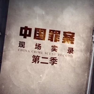 罪案现场实录第二季