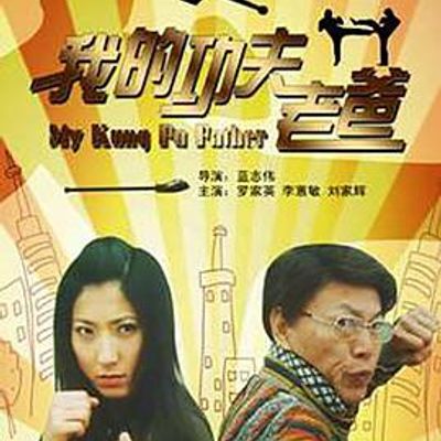 我的功夫老爸