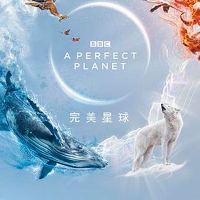 完美星球国语版