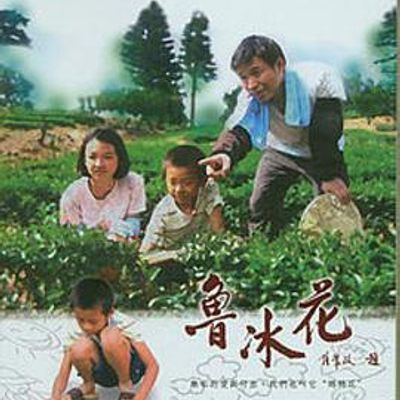 鲁冰花闽南语