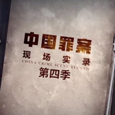 罪案现场实录第四季