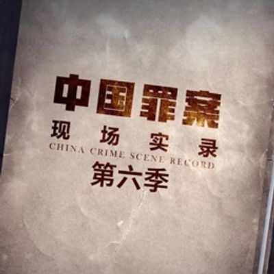 罪案现场实录第六季