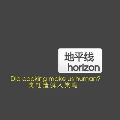 地平线系列：烹饪造就人类吗