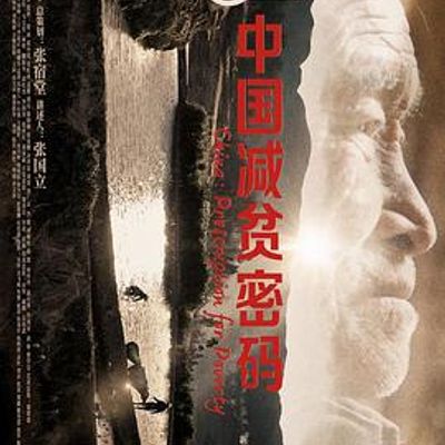 中国减贫密码
