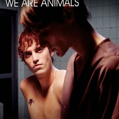 We Are Animals 我们是野兽