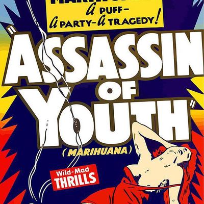 Assassin of Youth
