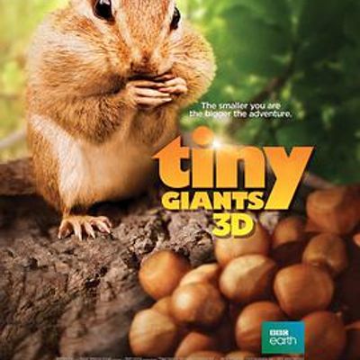 小巨人3D2014