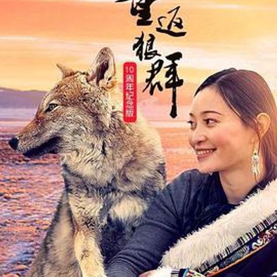 重返狼群——10周年纪念版