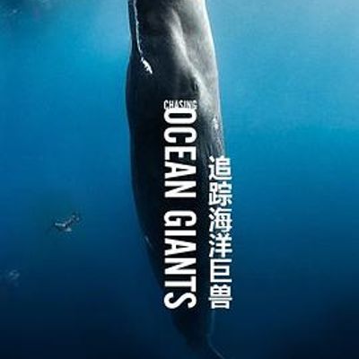 追踪海洋巨兽