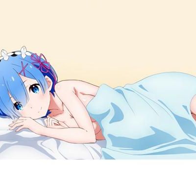 #VR Rezero Rem