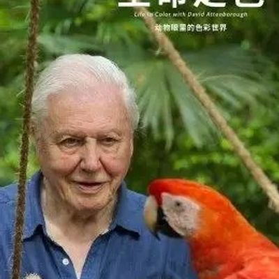 生命之色