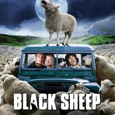 #疯羊 Black Sheep