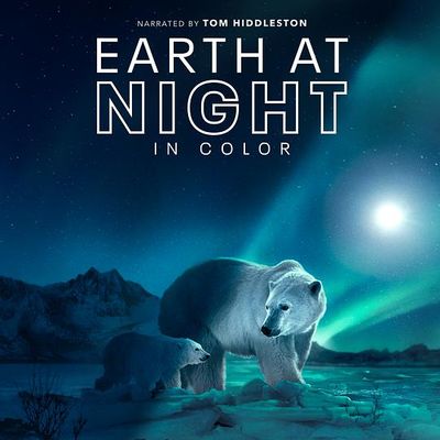#夜色中的地球 第二季 4K