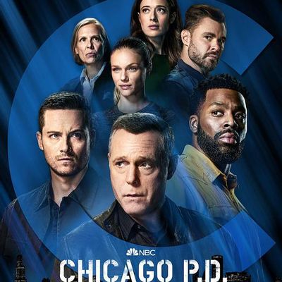 芝加哥警署 第九季